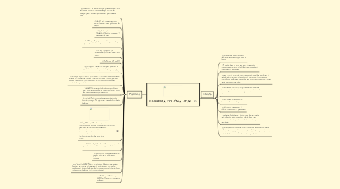 Mind Map: ESQUEMA COLÒNIA VIDAL