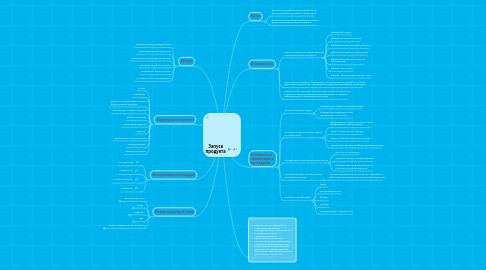 Mind Map: Запуск продукта