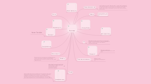 Mind Map: Вьетнам