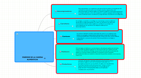 Mind Map: PIRÁMIDE DE LA CADENA ALIMENTICIA.