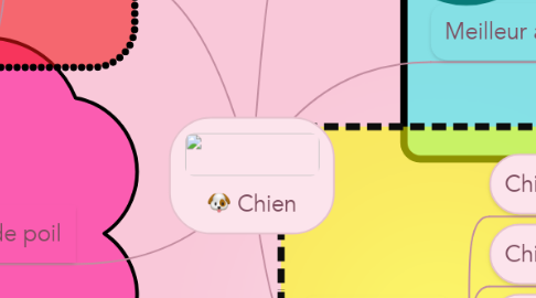 Mind Map: Chien