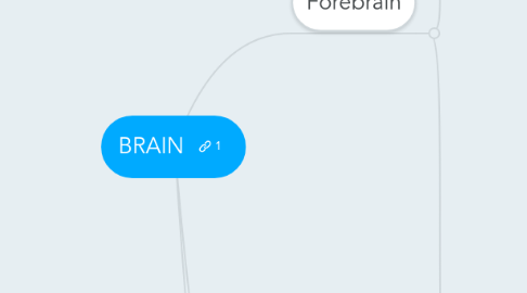 Mind Map: BRAIN