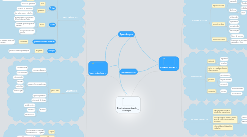 Mind Map: Dois instrumentos de avaliação