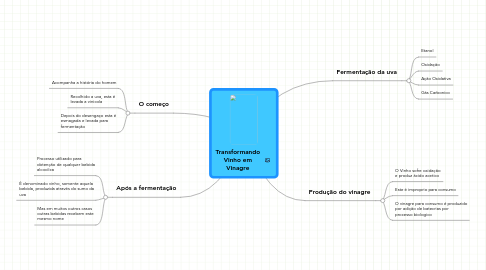 Mind Map: Transformando Vinho em Vinagre