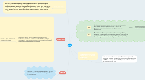 Mind Map: DNA