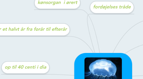 Mind Map: vandmand