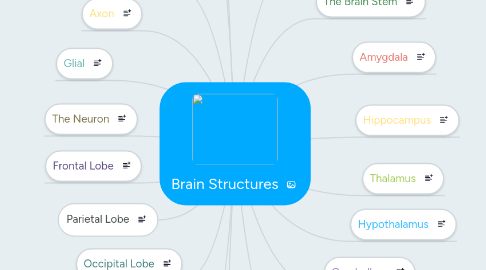 Mind Map: Brain Structures