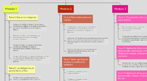 Mind Map: Habilidades y Valores ll