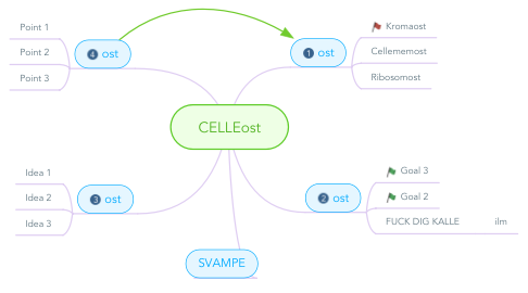 Mind Map: CELLEost