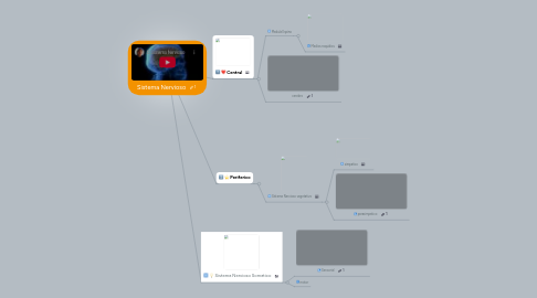 Mind Map: Sistema Nervioso