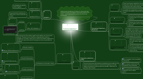 Mind Map: Fenómenos Cadavéricos