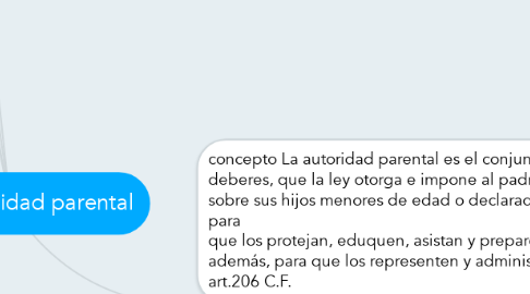 Mind Map: responsabilidad parental