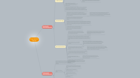 Mind Map: Responsabilidad Parental