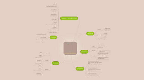 Mind Map: EDUCATION BEEHIVE