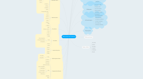 Mind Map: Webwinkel het Varaantje