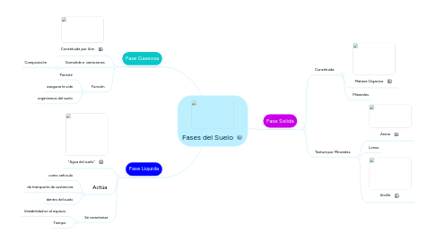 Mind Map: Fases del Suelo