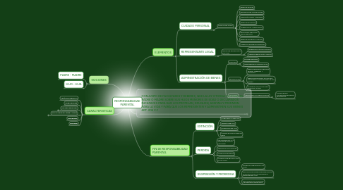 Mind Map: RESPONSABILIDAD PARENTAL