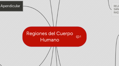 Mind Map: Regiones del Cuerpo Humano
