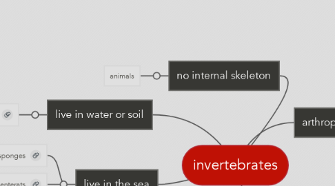 Mind Map: invertebrates