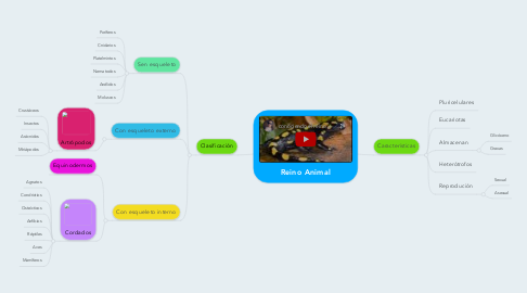 Mind Map: Reino Animal