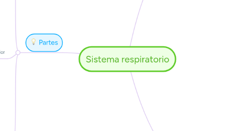 Mind Map: Sistema respiratorio