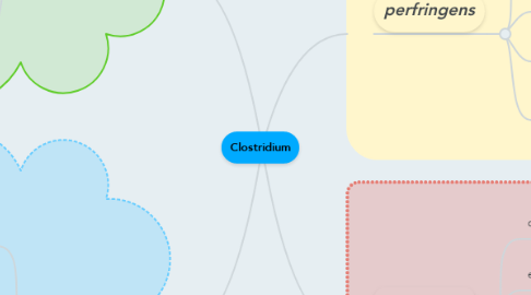Mind Map: Clostridium