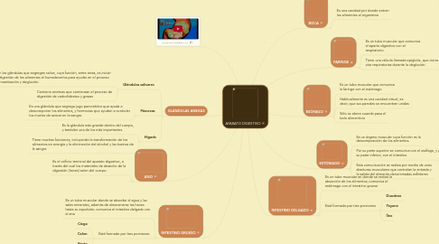 Mind Map: APARATO DIGESTIVO