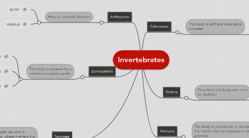 Mind Map: Invertebrates