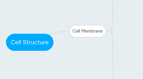 Mind Map: Cell Structure