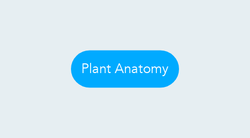 Mind Map: Plant Anatomy