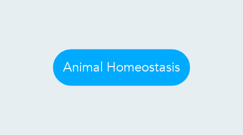 Mind Map: Animal Homeostasis