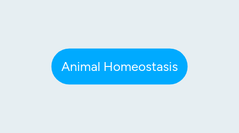 Mind Map: Animal Homeostasis