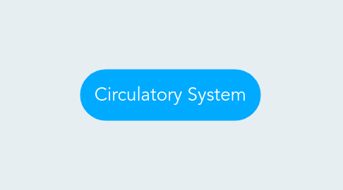 Mind Map: Circulatory System