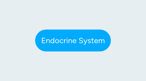 Mind Map: Endocrine System