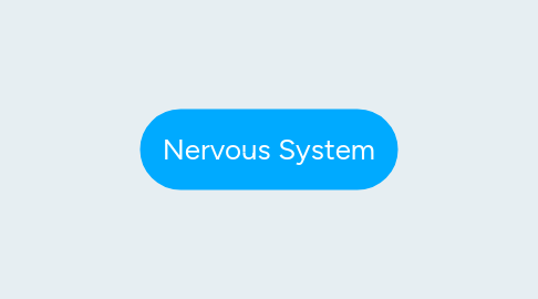 Mind Map: Nervous System