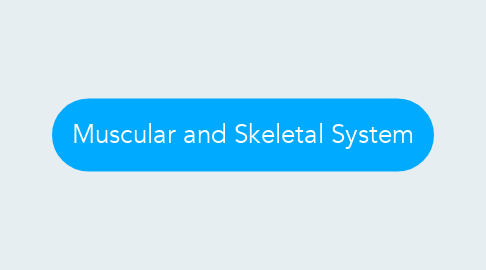 Mind Map: Muscular and Skeletal System