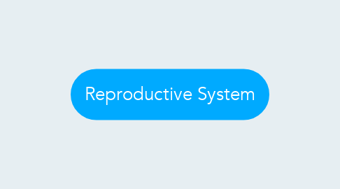 Mind Map: Reproductive System