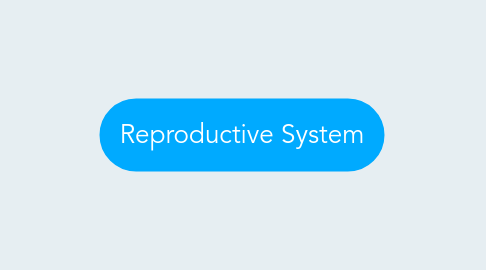 Mind Map: Reproductive System