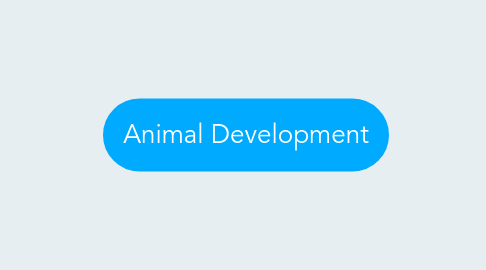 Mind Map: Animal Development