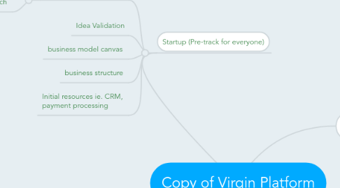 Mind Map: Copy of Virgin Platform