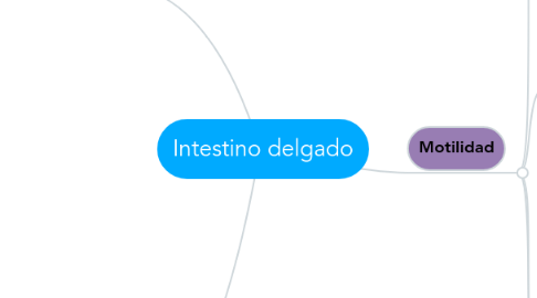 Mind Map: Intestino delgado