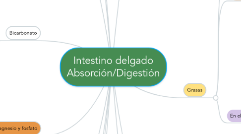 Mind Map: Intestino delgado Absorción/Digestión