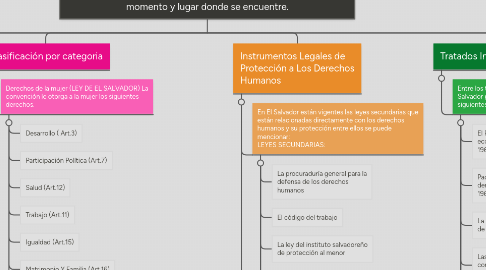 Mind Map: Los Derechos Humanos son valores fundamentales que tiene toda persona, que le pertenecen desde el momento del embarazo o concepción y le acompañan durante todo si vida, en todo momento y lugar donde se encuentre.