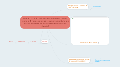 Mind Map: LA CELLULA è l'unità morfofunzionale, cioè di forma e di funzione, degli organismi viventi, la più piccola struttura ad essere classificabile come vivente)
