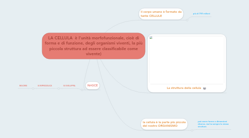 Mind Map: LA CELLULA  è l'unità morfofunzionale, cioè di forma e di funzione, degli organismi viventi, la più piccola struttura ad essere classificabile come vivente)