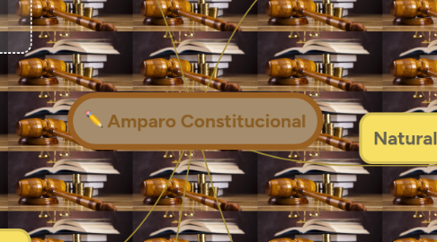 Mind Map: Amparo Constitucional