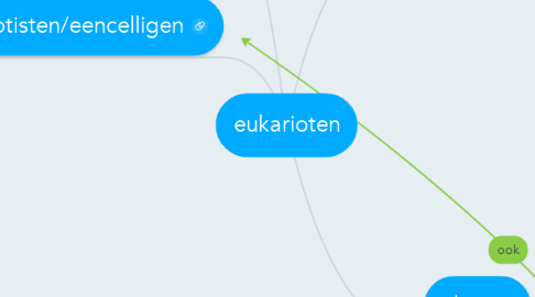 Mind Map: eukarioten