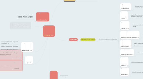 Mind Map: LA CELULA