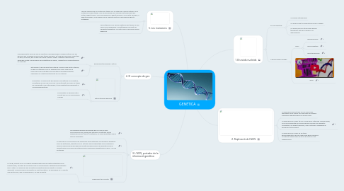 Mind Map: GENÈTICA