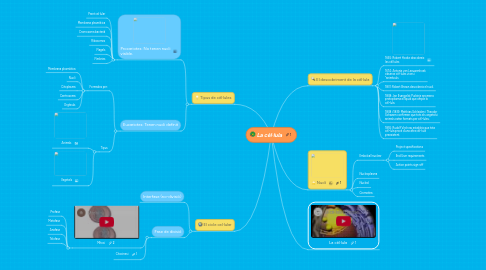 Mind Map: La cèl·lula